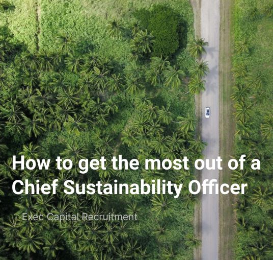 how-to-get-the-most-out-of-a-chief-sustainability-officer-cover