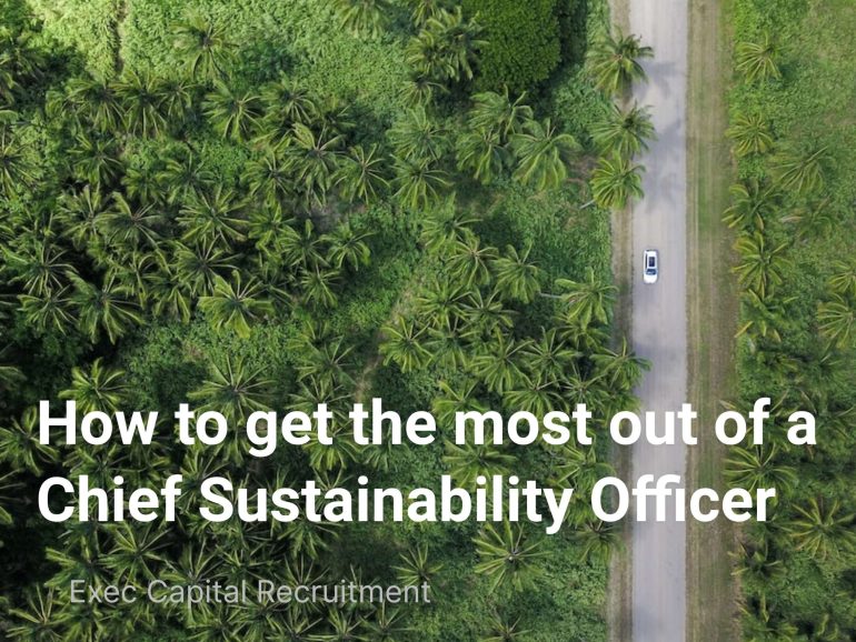 How to get the most out of a Chief Sustainability Officer