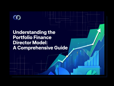 Understanding the Portfolio Finance Director Model: A Comprehensive Guide
