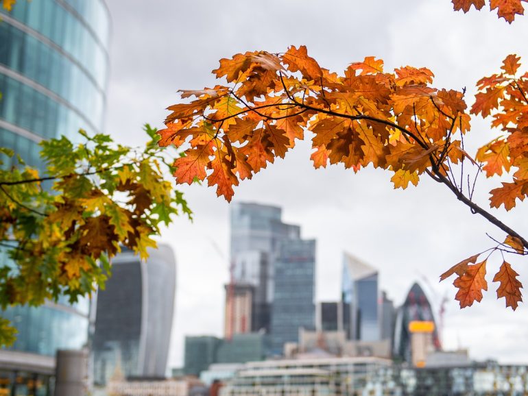 Navigating Executive Recruitment in Post-Brexit London