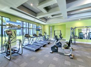 Head of Operations – Premium Multi-Site Fitness Group